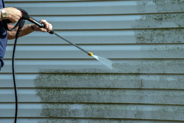 Best Driveway Pressure Washing  in Lake Shastina, CA